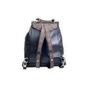 Louis Vuitton Montsouris Vibe PM Backpack